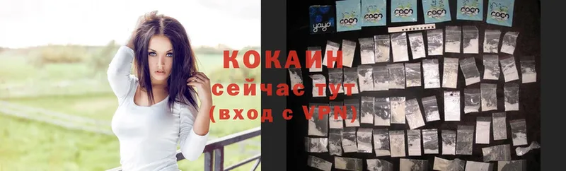 как найти наркотики  гидра как зайти  COCAIN FishScale  Белокуриха 